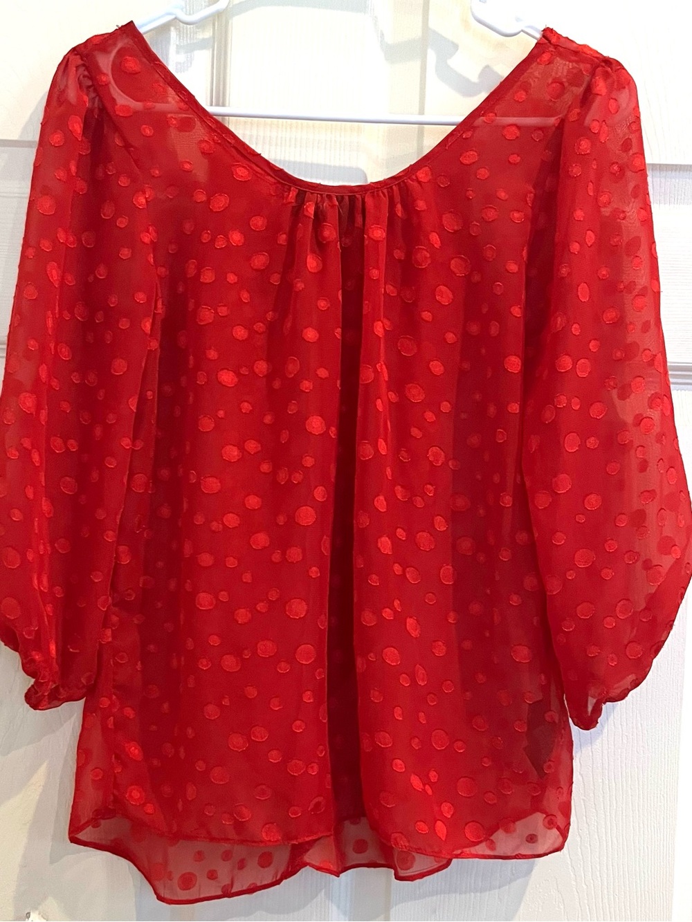 BCX Red Sheer Polka Dot Blouse